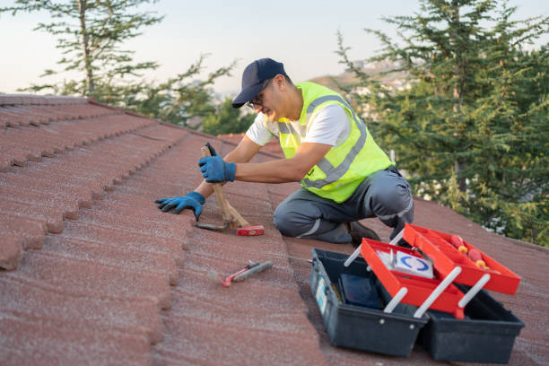 Roof Gutter Cleaning in Belle Isle, FL