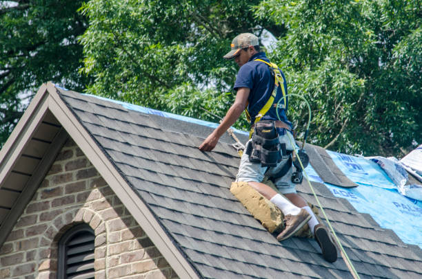 Best Shingle Roofing Installation  in Belle Isle, FL